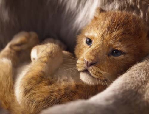 Фильм Король Лев 2019 картинки Фильм Король Лев 2019 картинки