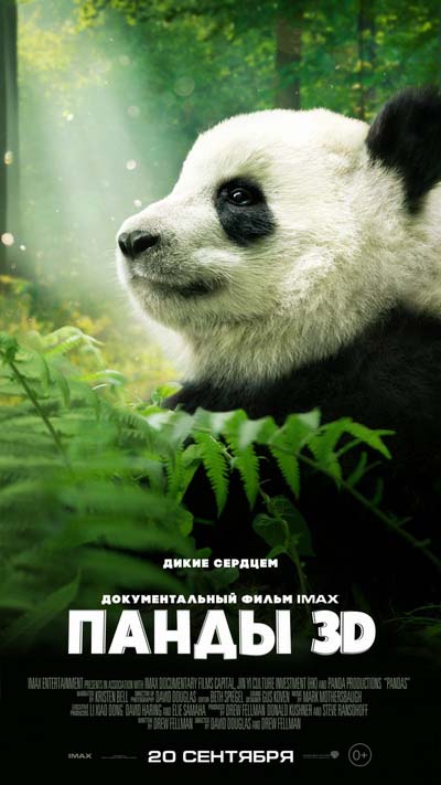 Панды (2018) постер