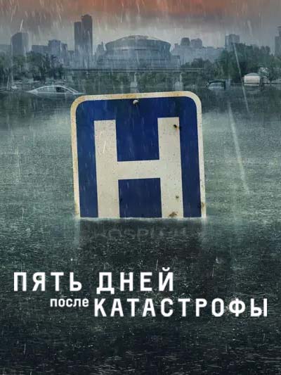 Пять дней после катастрофы (2022) постер