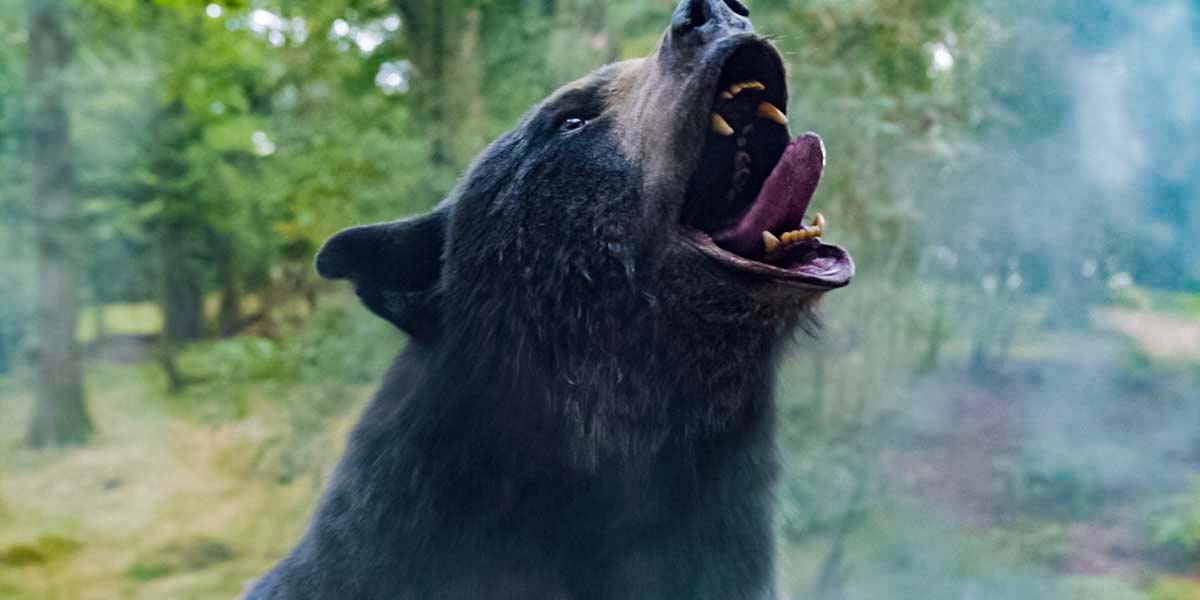 Фильм "Кокаиновый медведь" (2023) Постер В Рейтинге